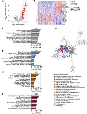 Integrated analyses reveal IDO1 as a prognostic biomarker coexpressed with PD-1 on tumor-associated macrophages in esophageal squamous cell carcinoma